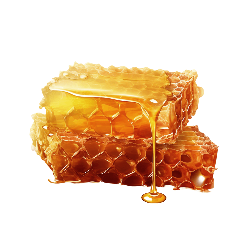 Honeycomb